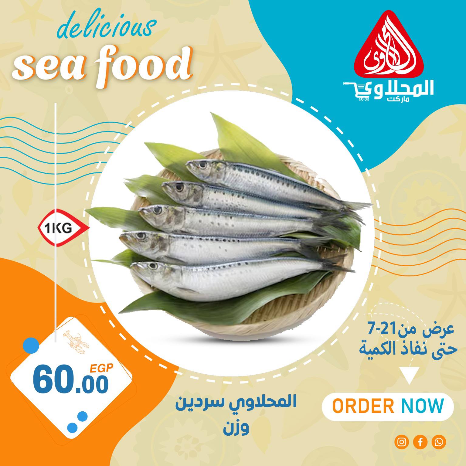 el-mahallawy offers from 21jul to 1jun 2025 عروض المحلاوي من 21 يوليو حتى 1 يونيو 2025 صفحة رقم 2